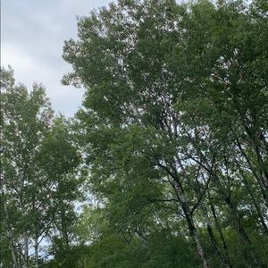 Meet your Posher, Kylie